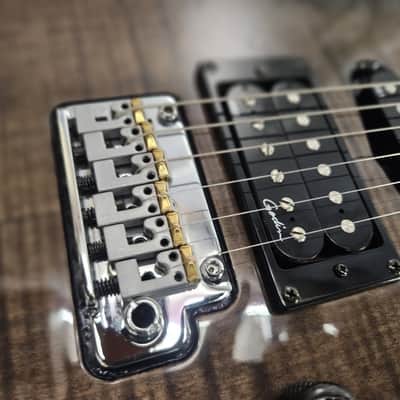 Godin xtSA 2010s - Trans Black image 3