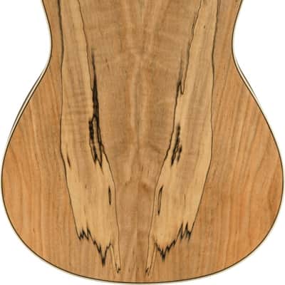 Fender Zuma Exotic Concert Ukulele, Walnut Fingerboard, Spalted Maple Bild 2
