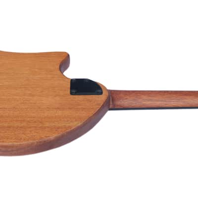 Special Steel String Electric Oud RaksOud Mat image 10