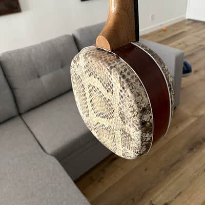 Mongolian Shanz/Shadruga (like Sanxian/Shamisen) – Fretless Folk Banjo image 2