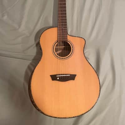 Washburn Acoustic-Electric Guitar image 1