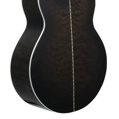Michael Kelly MKD4SSBSFR Dragonfly 4 Quilt Maple Top Mahogany Neck 4-String Acoustic Electric Bass Guitar image 2