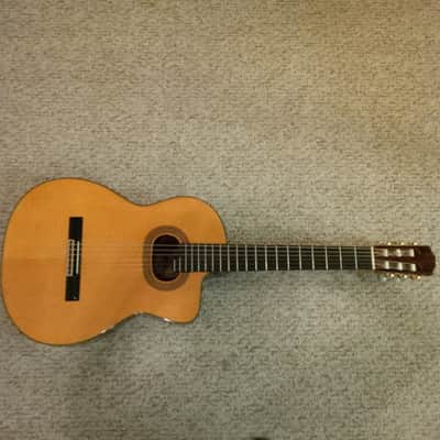 Takamine E30 1989 Acoustic Electric Classical Nylon Vintage Natural image 13
