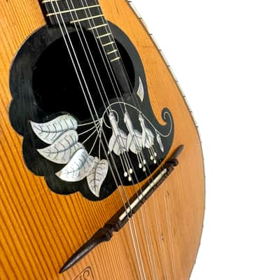 Concert Mandolin Rogis / J. P. Beuscher 1930's image 5