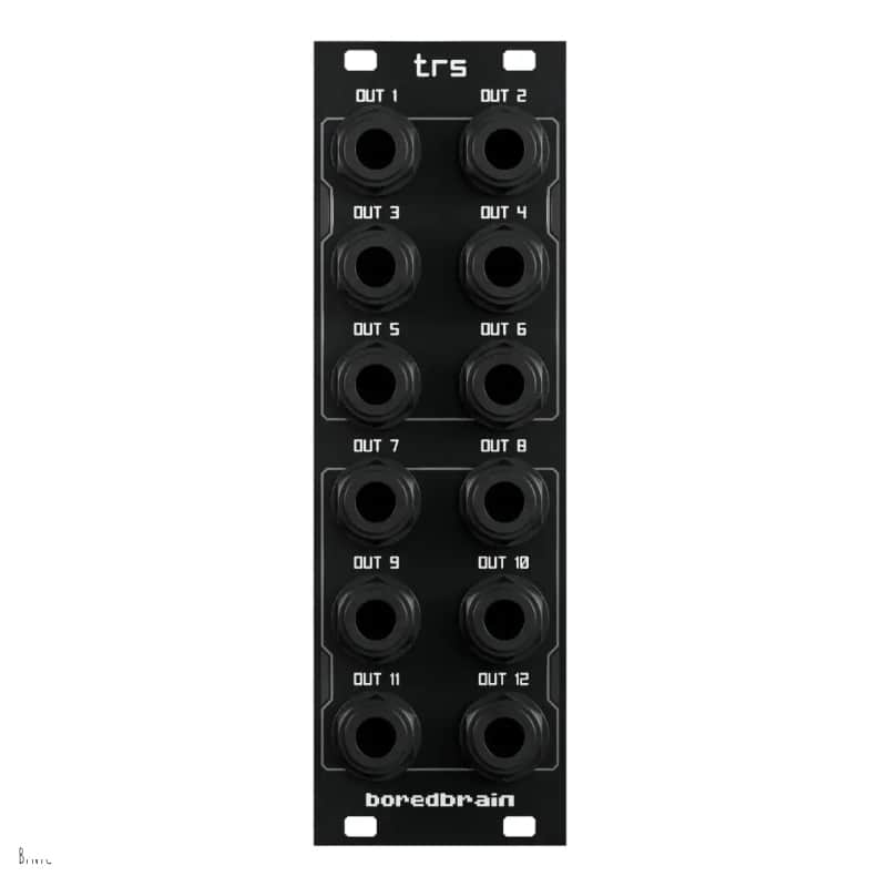 Boredbrain Music TRS (BPNYC) image 1