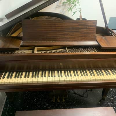 M Schulz and Co Baby Grand Piano 1920 Walnut Case. Tuned, reshapen hammers, and fully functional image 3
