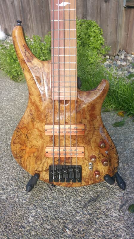 Roscoe SKB 3005 Custom 5 string bass guitar image 1