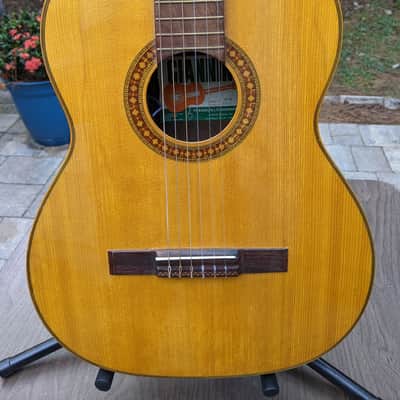 Vintage Giannini GN70  Classical/ Nylon  Electric  guitar image 2