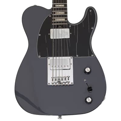 Schecter PT EX guitar in Dorian Gray B-Stock 0710 image 2