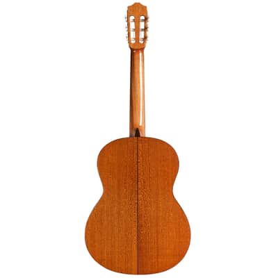 Cordoba C5 Spruce image 2