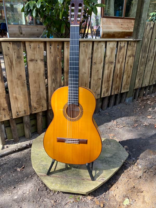 Salvador Castillo Flamenco Blanca 2008 - French Polish image 1