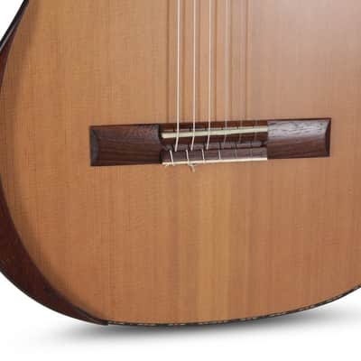 Manuel Rodriguez Magistral F-C Cedar/Indian Rosewood 4/4 Armrest (F-C) (Manuel Rodriguez Magistral F-C Cedar/Ind. Rosewood 4/4 Armrest (F-C) image 5