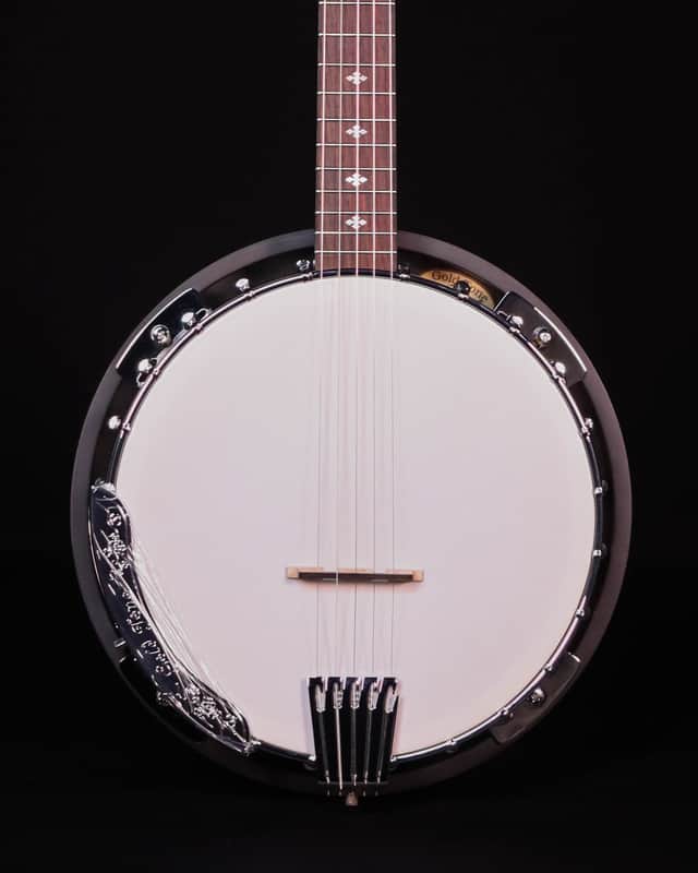 Gold Tone CC-100R 5-String Banjo, Includes Bag image 1