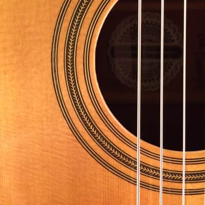 Gurian Jumbo Guitar 1970s image 7