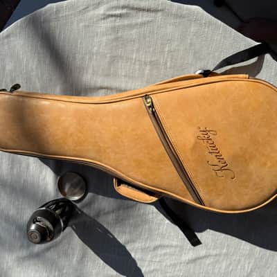 Kentucky KM-252 Deluxe A-Style Mandolin 2010s - Transparent Amber image 5