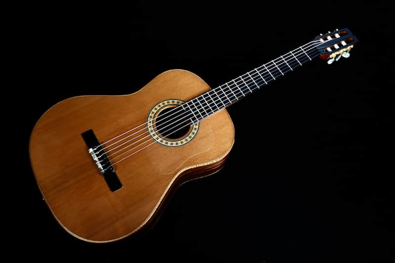 Custom Pegasus Guitar / Ukulelefriend.com image 1