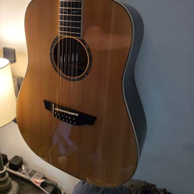 Orangewood ECHO live 12-string 2020-2024 - Gloss image 7