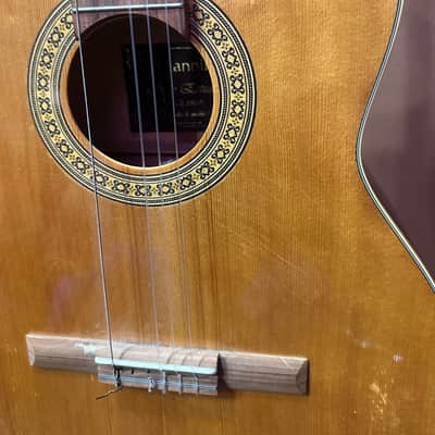 Giannini Serie Estudo Acoustic Guitar - Brazil image 9