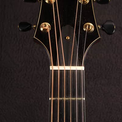 Kevin Ryan Nightingale Grand Soloist image 6