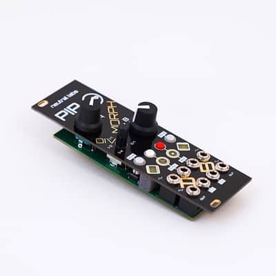 Pip by Neutral Labs - Dual clocked CV generator/recorder image 2