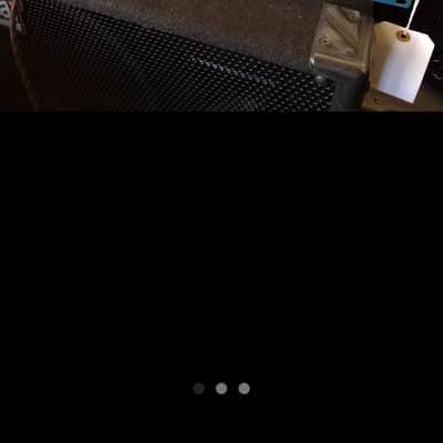 Trickfish Bullhead 1k Bass Amp image 4