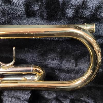 Antigua Trumpet - Gold Lacquer image 8