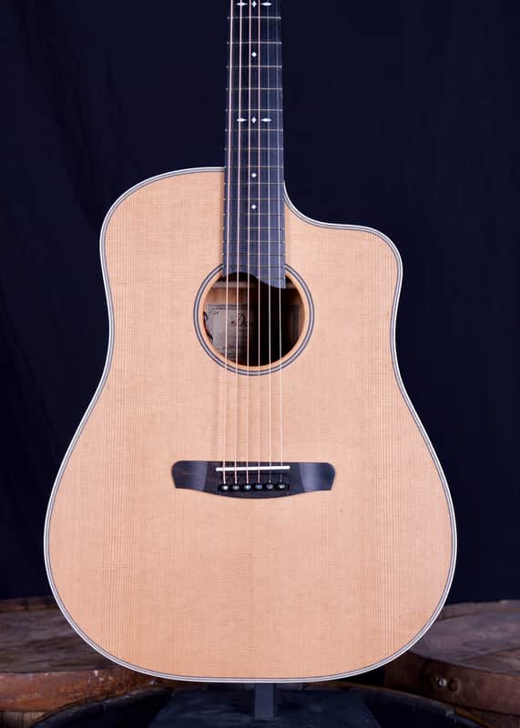 Dowina Honduran Mahogany Dreadnought LR Baggs EAS - Natural image 1