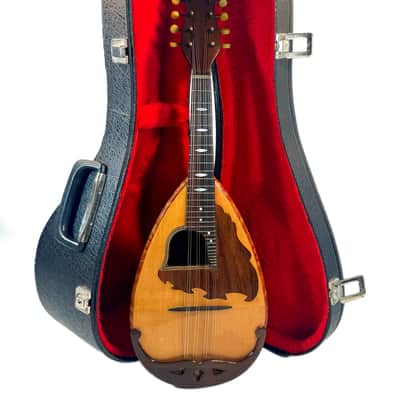 Concert Mandolin E. De Cristofaro 1930's image 21