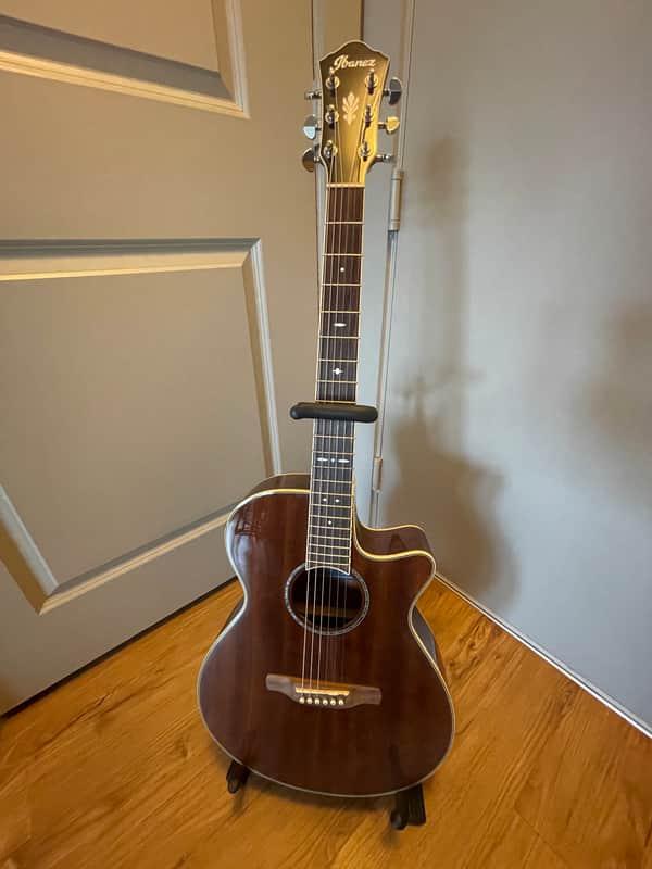 Ibanez AEG12II-NMH image 1