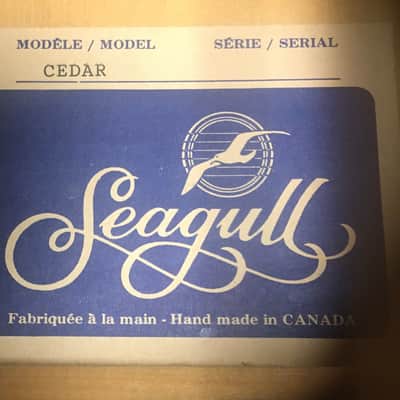 RARE & AMAZING 12-STRING ~ Vintage Seagull Cedar 12-String Acoustic Guitar Made In Canada image 4