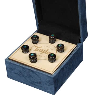 Taylor Water Buffalo Horn Bone Bridge Pin Set-Brown with Green Opal image 2