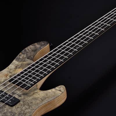 STR Bass #361 DLS549 (Authorized Dealer) Handmade in Japan Buckeye Nordstrand image 7