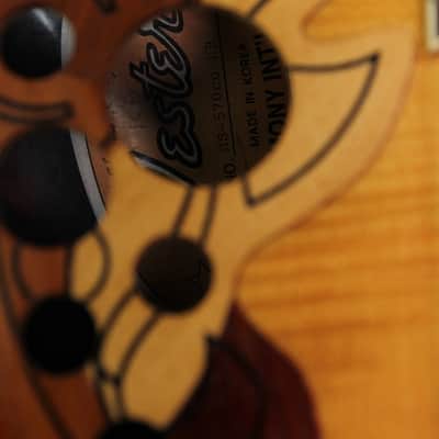 Vester Cutaway Acoustic-Electric Guitar Pre-Owned image 5