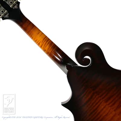 COLLINGS MF-O  2009[Pre-Owned] image 6