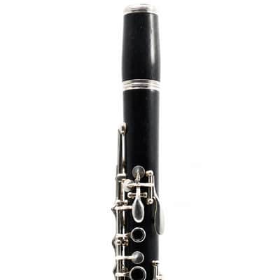 Buffet Crampon R13 Professional Bb Clarinet in Grenadilla SN F499157 image 3