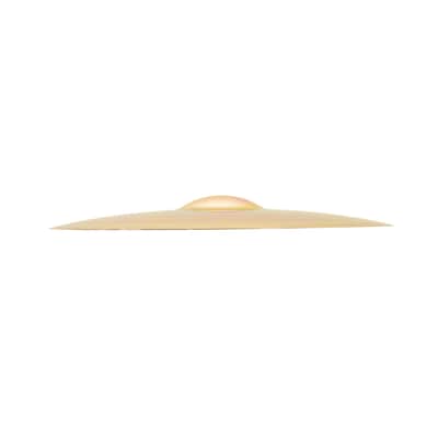 Sabian 20-Inch XSR Ride Cymbal image 4