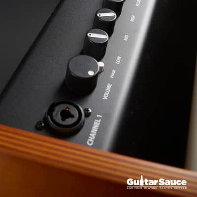 Fender Acoustic Amp 100 Watt 2024 (Cod. AMP_00161) image 8