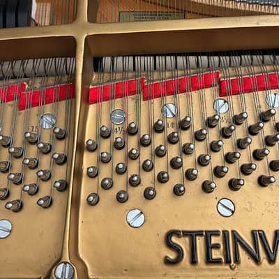 Steinway&Sons L 1981 - Walnut Satin image 5