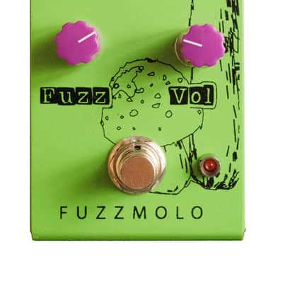 Amanita Fuzzmolo image 2