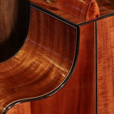 Krutz Koa Apex 2024 - Natural image 16