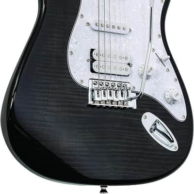 Washburn Sonamaster 6 String Solid-Body Electric Guitar, Right, Transparent Black (SDFTB) image 3