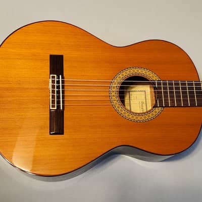 Dauphin DS35 1993 - Made in Spain - Excellent! Molded Hard Case Natural image 8