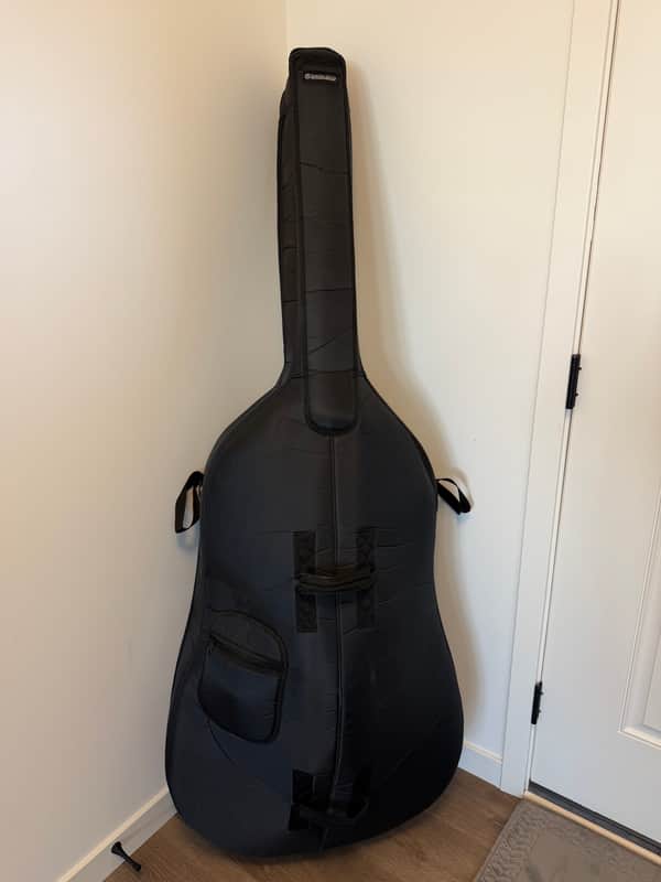 Samuel Eastman VB80 Double Bass image 1