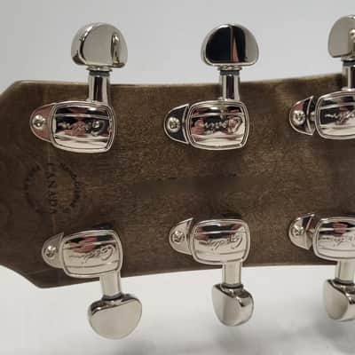 Godin Radium image 11