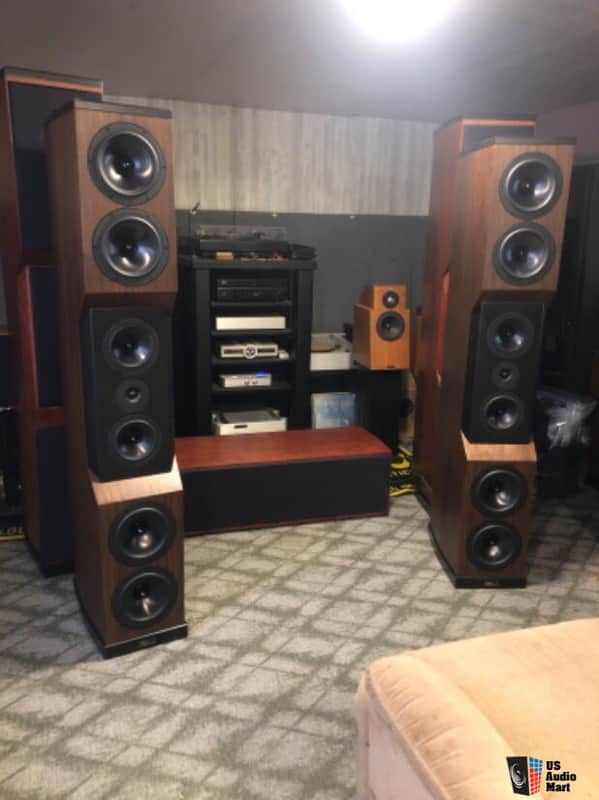 Tyler Acoustics D1x mastering speakers - Dark walnut image 1