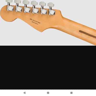 Fender Stratocaster Player Plus w/hardshell case image 7