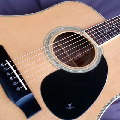 1992 Yairi D 35 YW-500P - Natural+Hard Case image 19