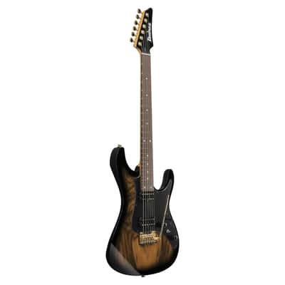 Ibanez AZ41P1EW-NGT Natural Gray Burst - Electric Guitar image 3