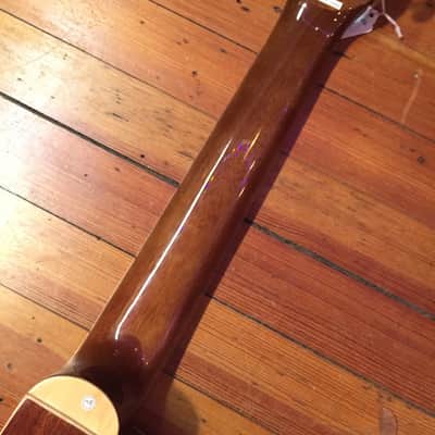 Antonio Hermosa AHT-10CE Classical Electric Cutaway w/Free Shipping image 10