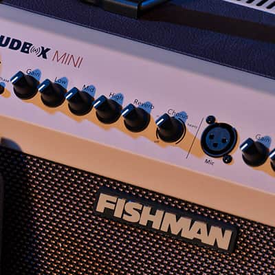Fishman Loudbox Mini Acoustic Guitar Amp in Cream image 5